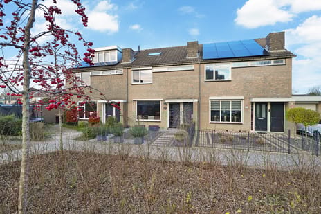 President Wilsonlaan thumbnail