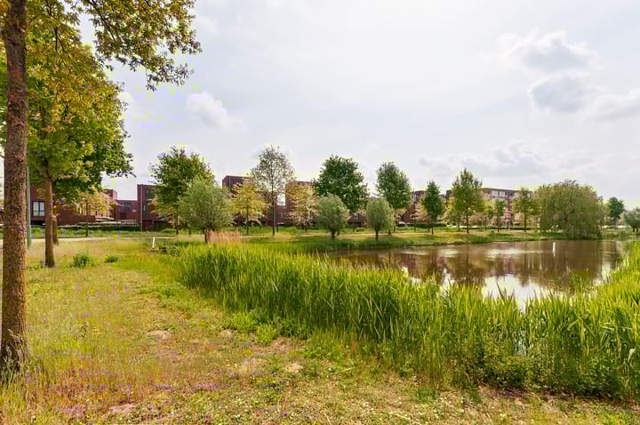 Foto 23 van Vlasven 19