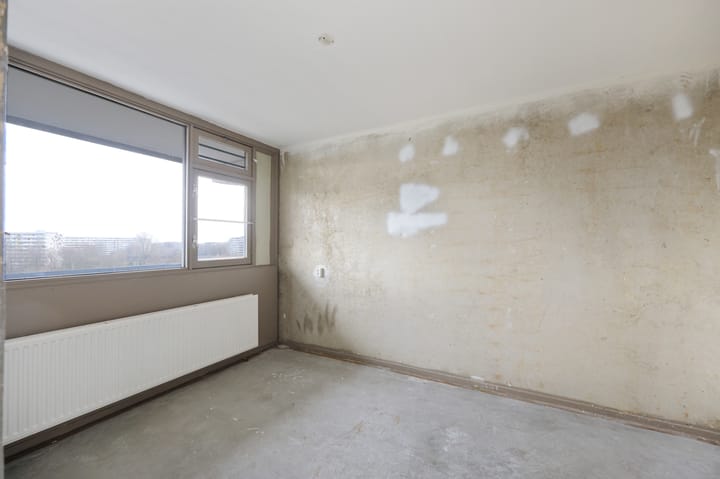 Foto 8 van Kikkenstein 2719