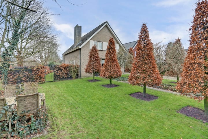 Foto 42 van Zandeind 15-B