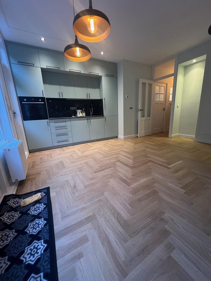 Foto 5 van Borgesiusstraat 29-B