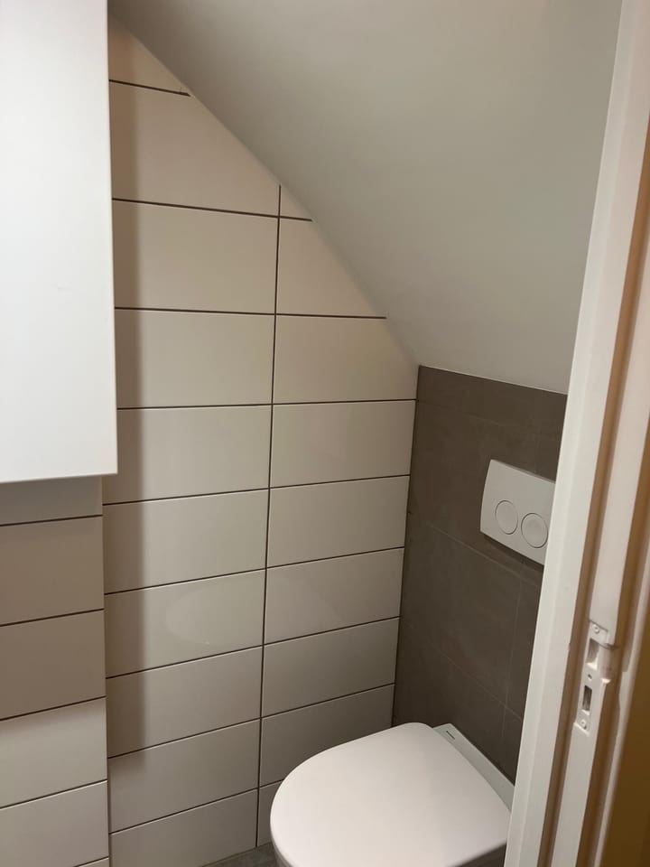 Foto 10 van Borgesiusstraat 29-B