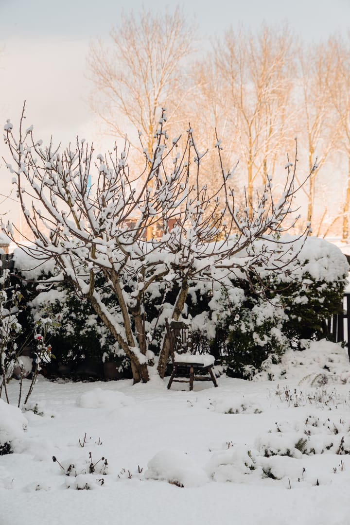 Foto 19 van Amsteldijk Zuid 26