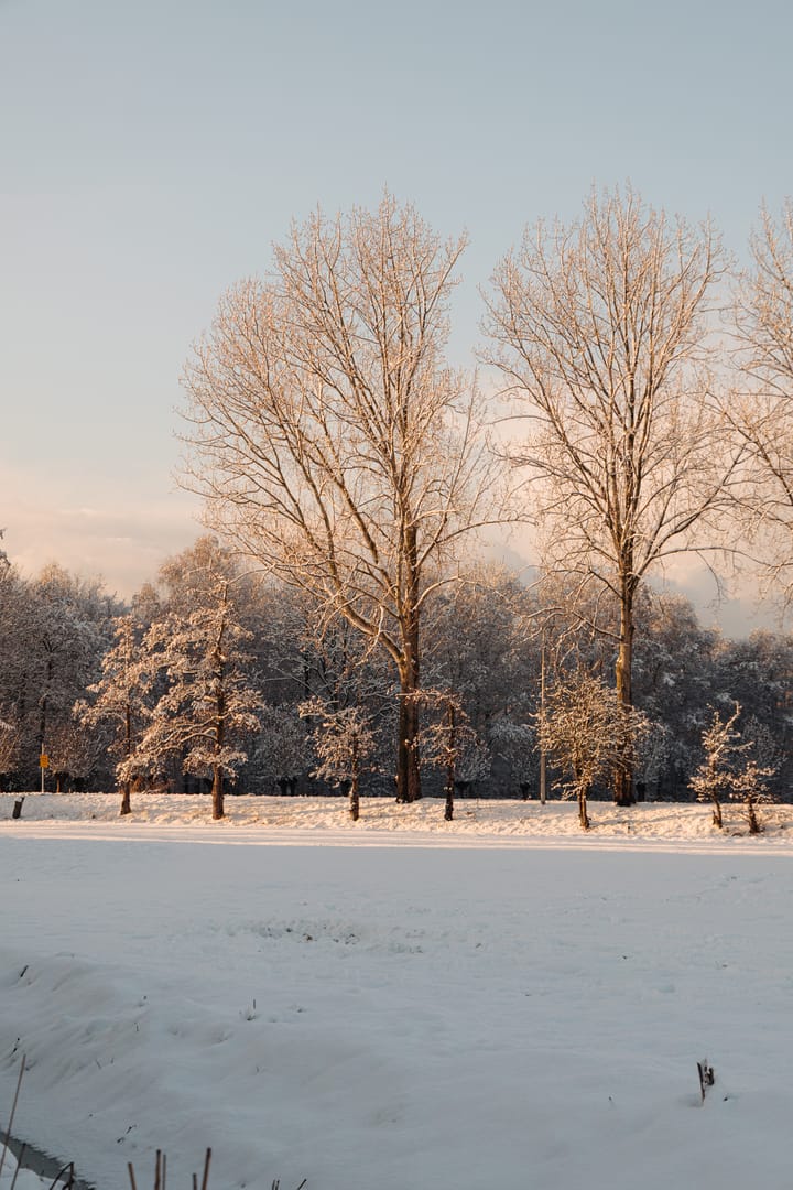 Foto 20 van Amsteldijk Zuid 26