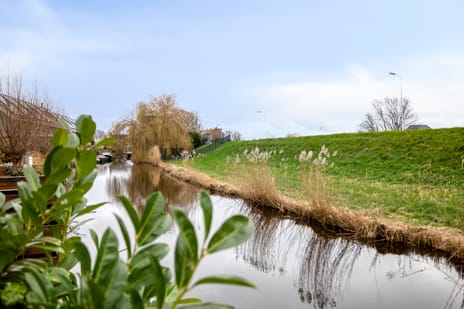 undefined main image