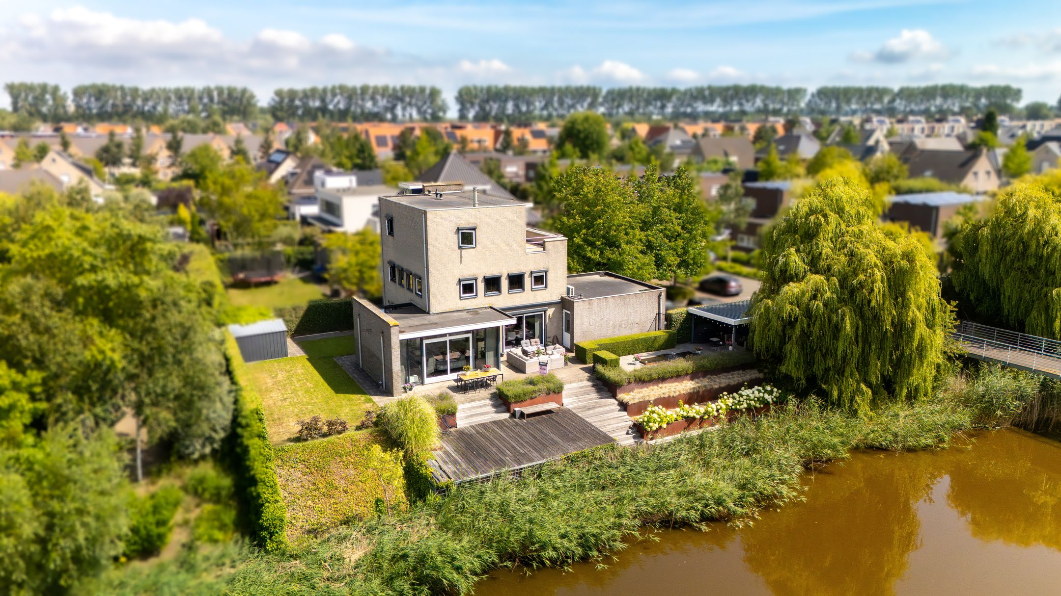 Buying a house in The Netherlands., Buizerd 11