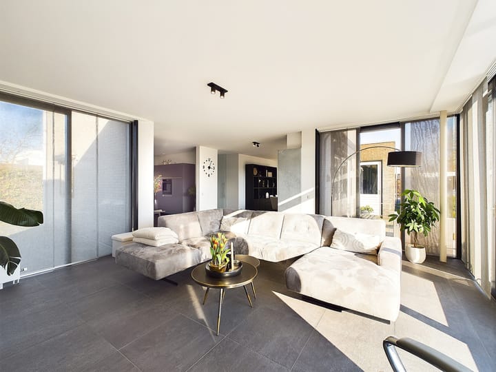 Foto 6 van Buizerd 11