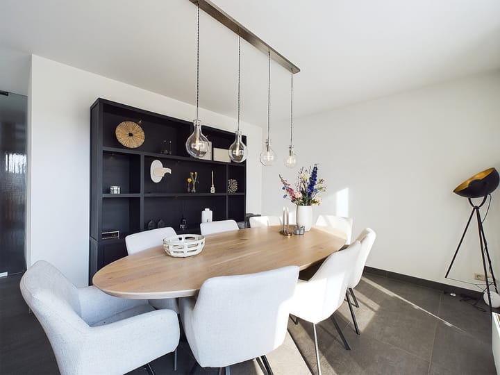 Foto 12 van Buizerd 11