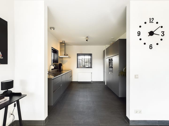 Foto 15 van Buizerd 11