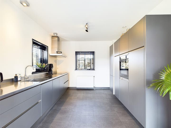 Foto 17 van Buizerd 11