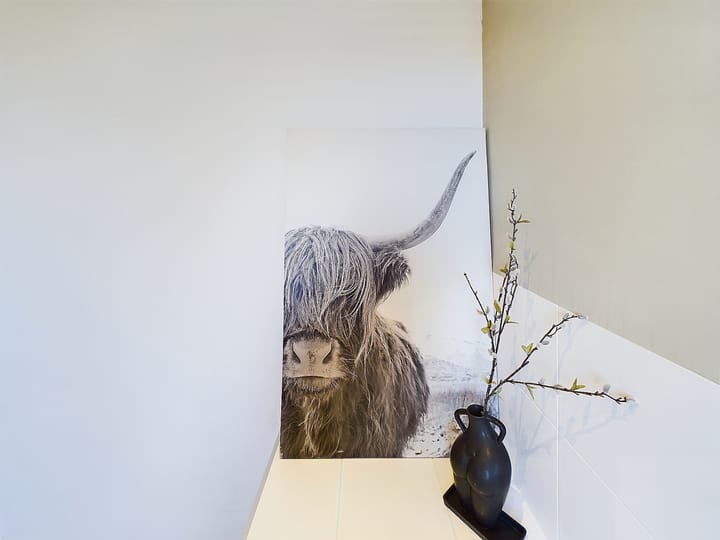 Foto 36 van Buizerd 11