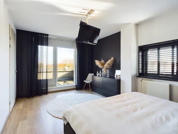 Foto 42 van Buizerd 11