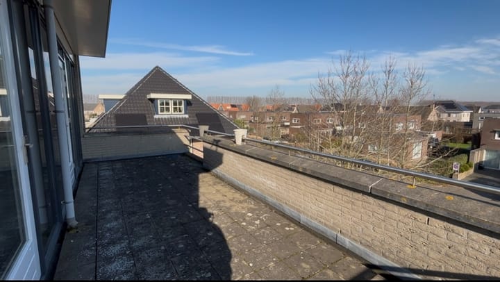 Foto 43 van Buizerd 11