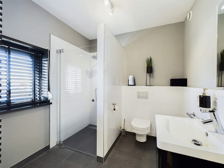 Foto 45 van Buizerd 11