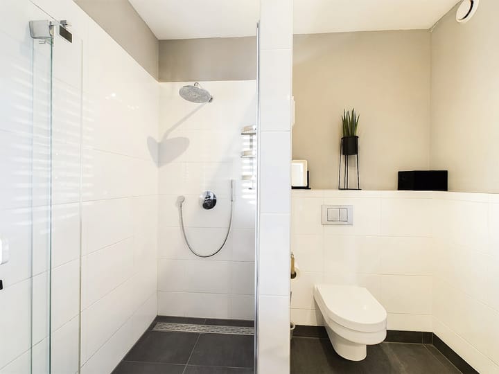 Foto 46 van Buizerd 11