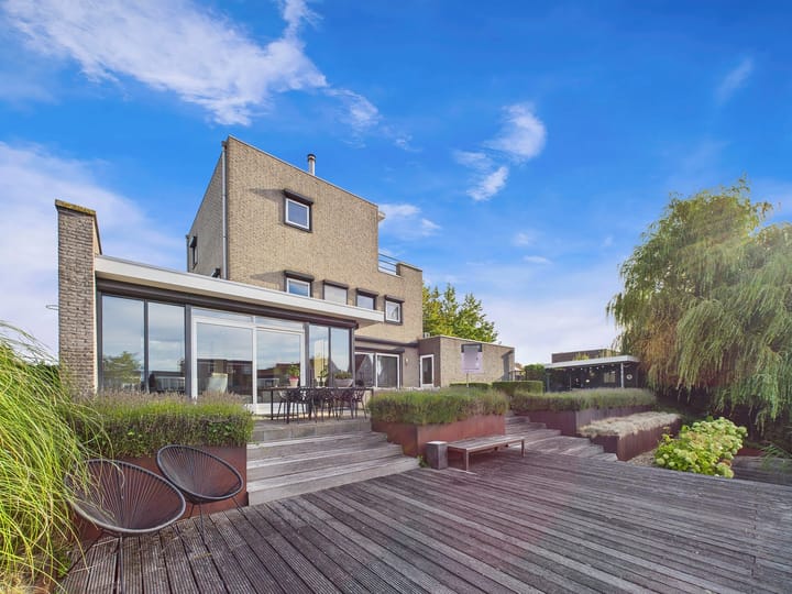 Foto 48 van Buizerd 11