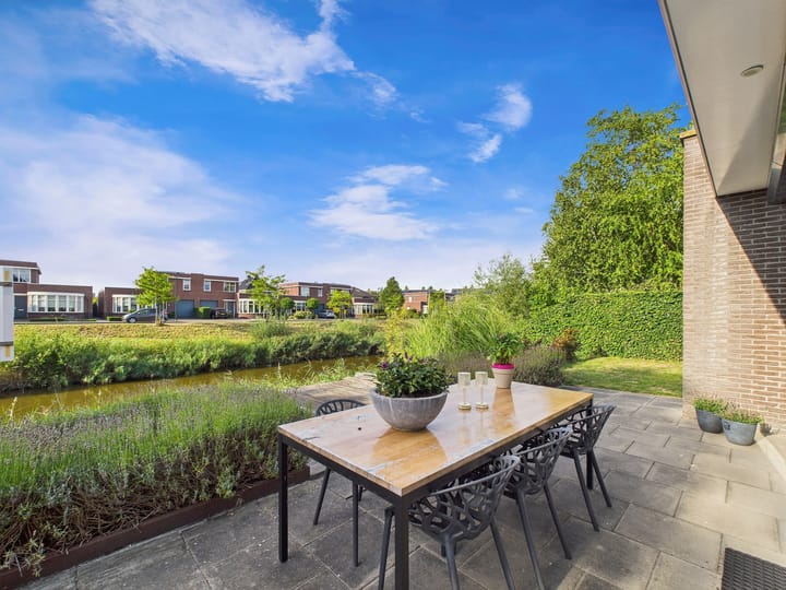 Foto 49 van Buizerd 11