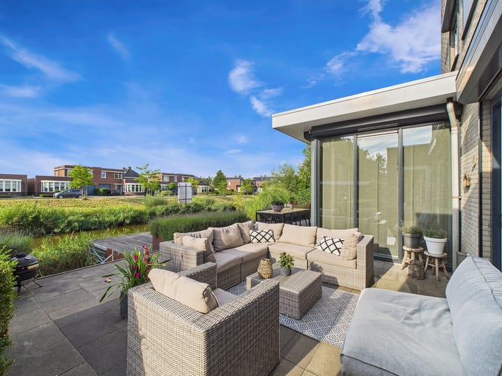 Foto 51 van Buizerd 11