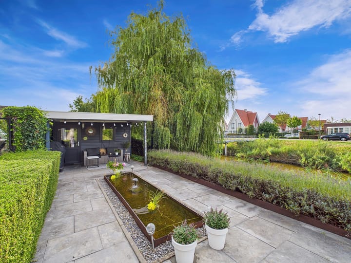 Foto 53 van Buizerd 11