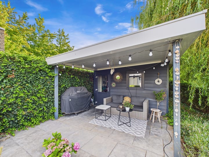 Foto 54 van Buizerd 11