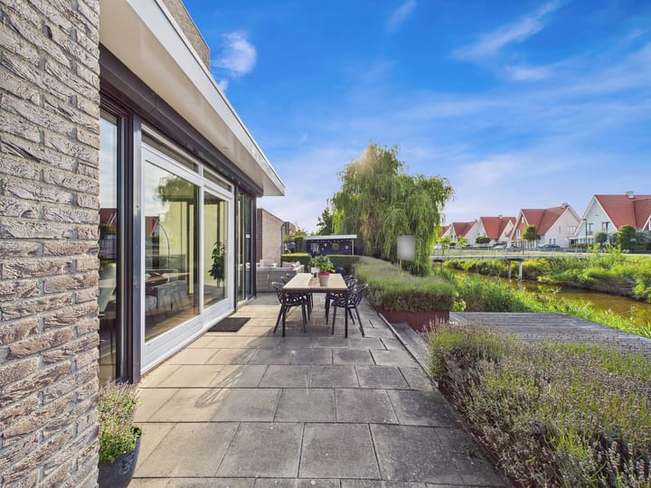 Foto 58 van Buizerd 11