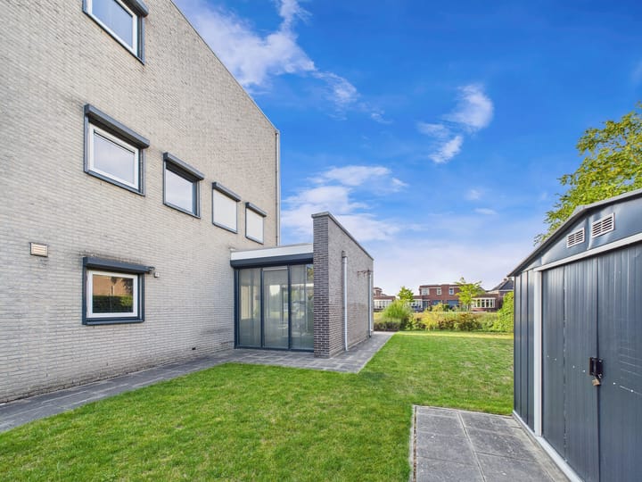 Foto 60 van Buizerd 11