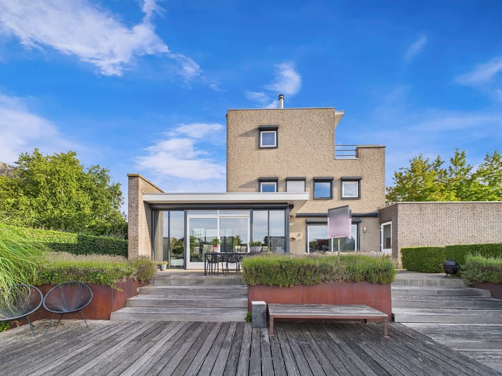 Foto 62 van Buizerd 11