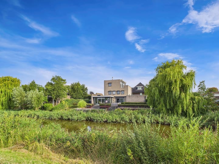 Foto 64 van Buizerd 11