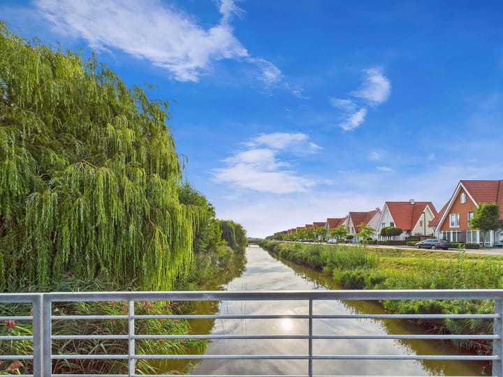 Foto 66 van Buizerd 11