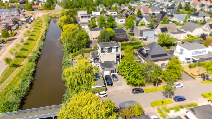 Foto 68 van Buizerd 11