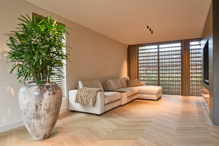 Foto 14 van Past. Bolsiusstraat 11