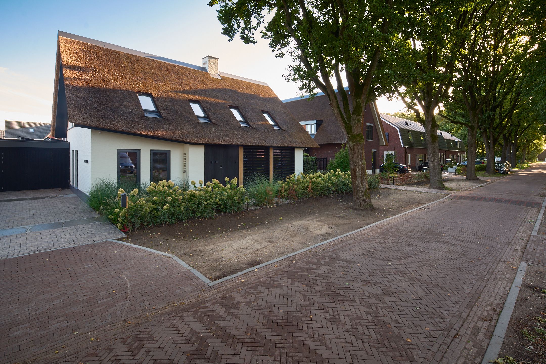 Photo 36 of Past. Bolsiusstraat 11