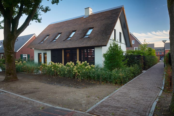 Foto 37 van Past. Bolsiusstraat 11