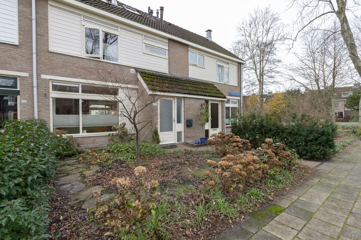 Foto 41 van van Wassenaerplein 22