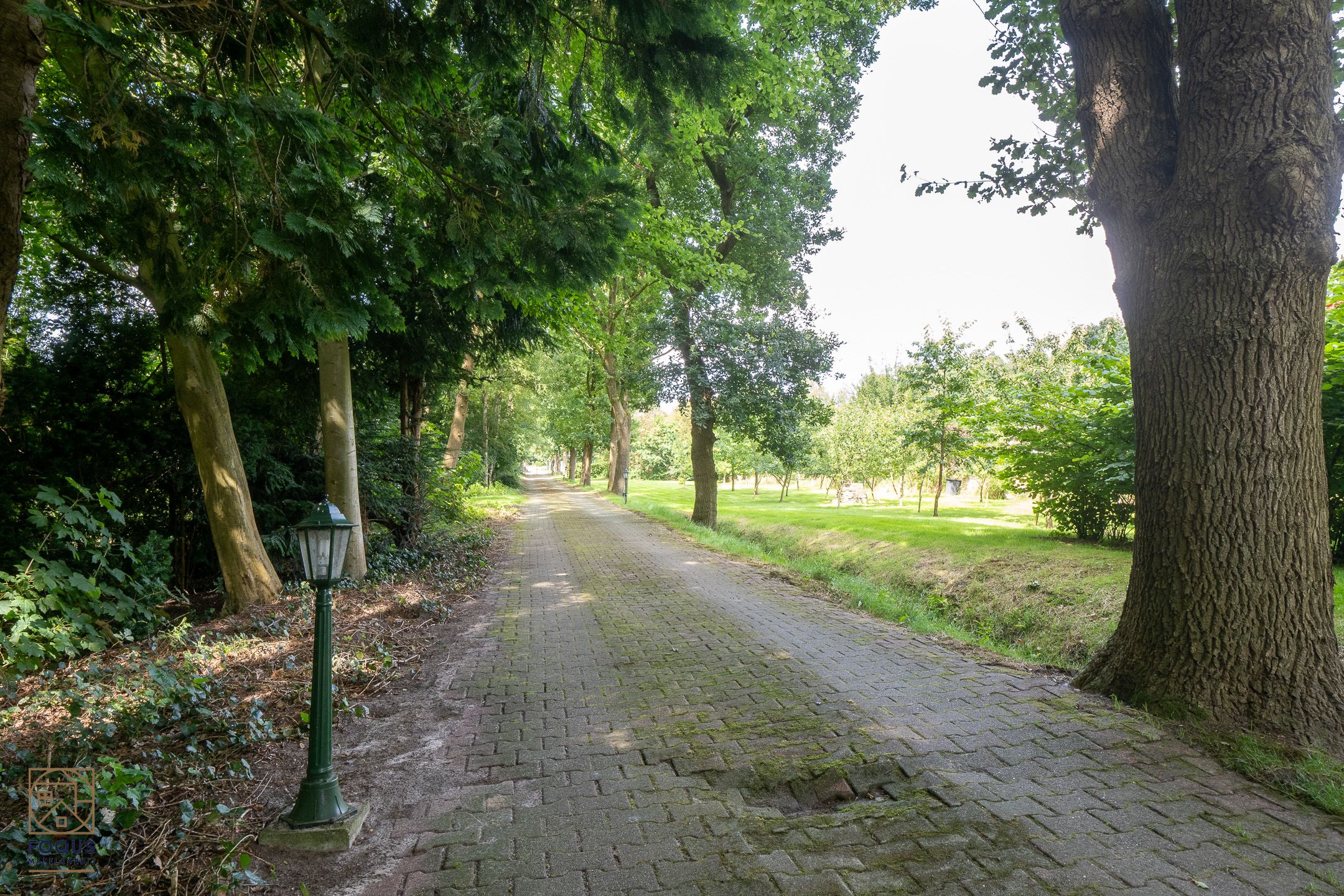 Foto 9 van Papenburgerstraße 331