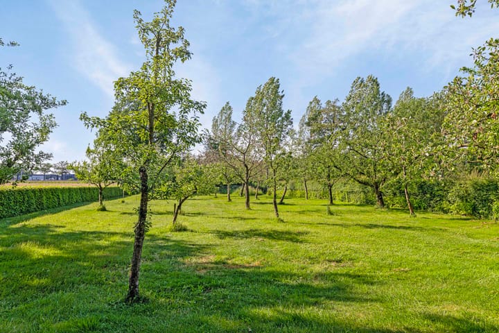 Photo 51 of Veenweg 15