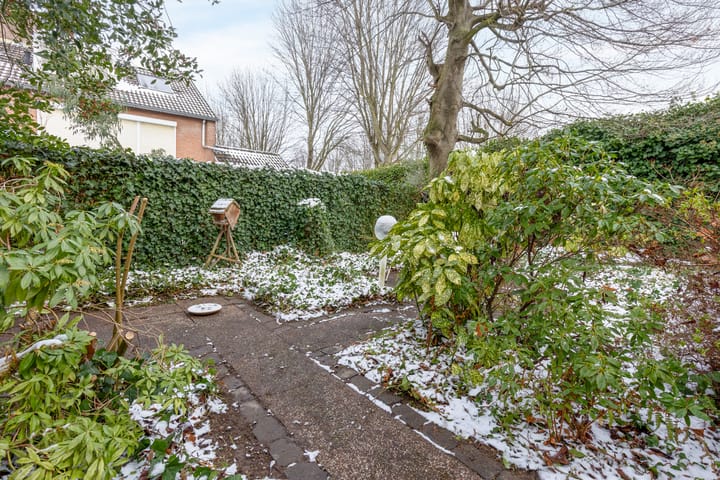 Foto 18 van Pieter de Hoogstraat 9