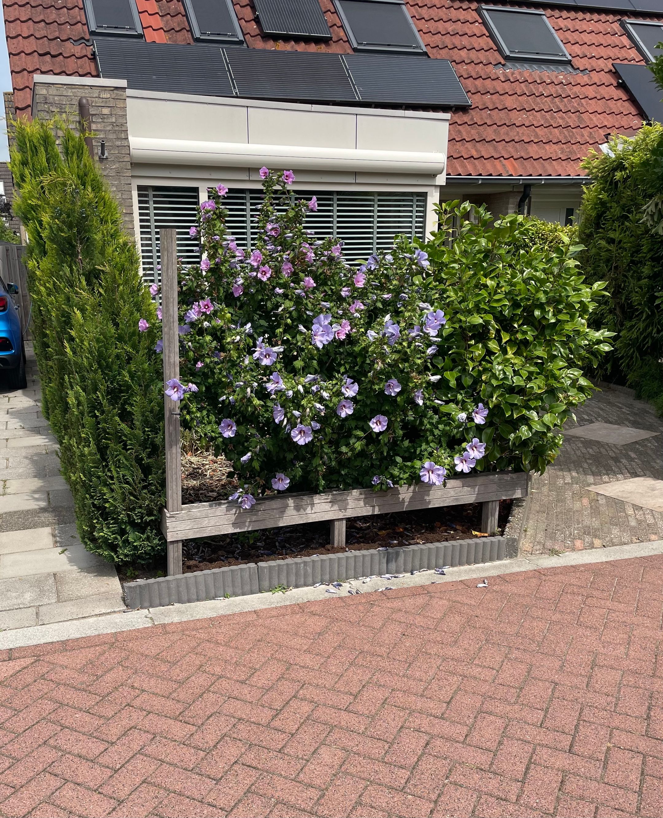 Foto 6 van Vlasakker 19