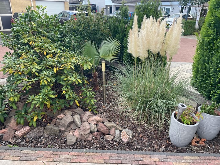 Foto 8 van Vlasakker 19