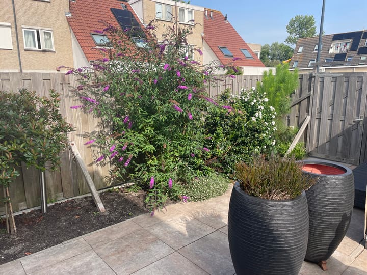 Foto 18 van Vlasakker 19