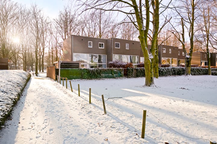 Foto 6 van Bertus Aafjesstraat 20