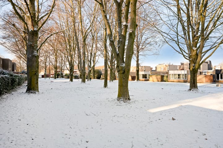 Foto 7 van Bertus Aafjesstraat 20