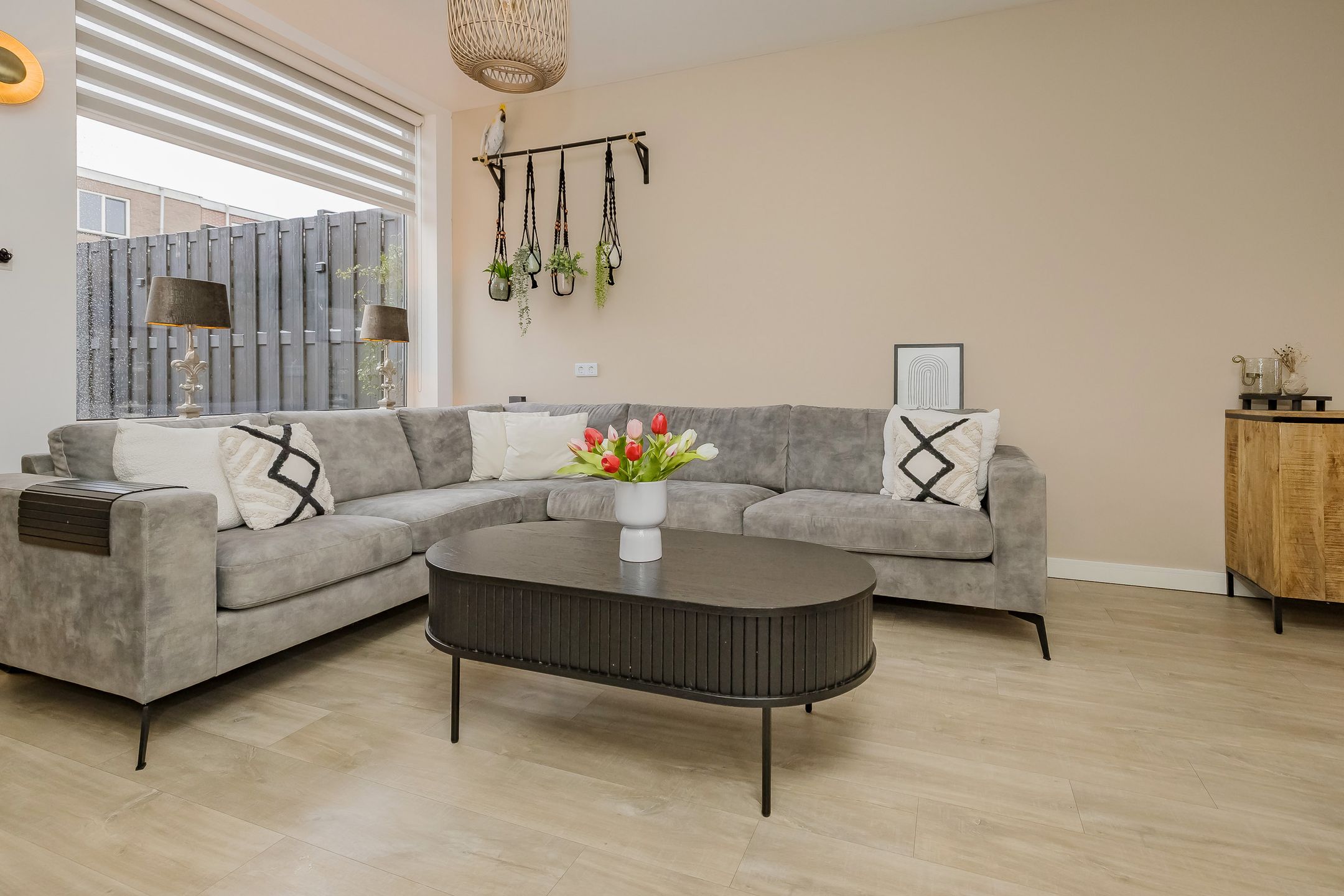 Foto 15 van IJmuiderstraatweg 65