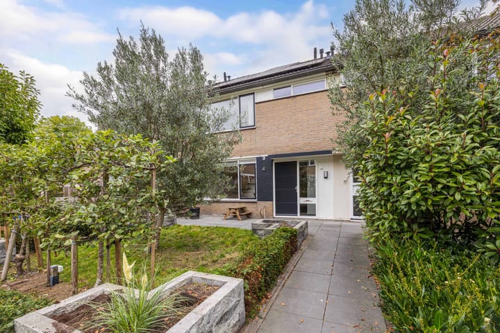 Photo 4 of Klaproos 4