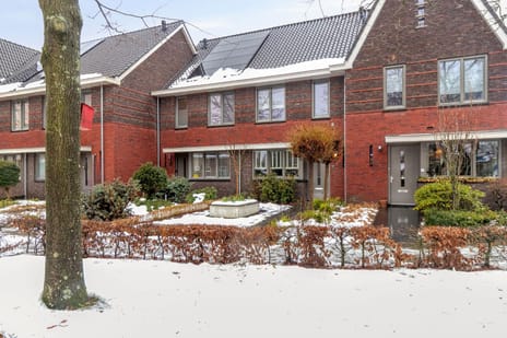 undefined main image