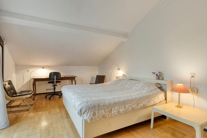 Foto 35 van Prinses Irenestraat 7