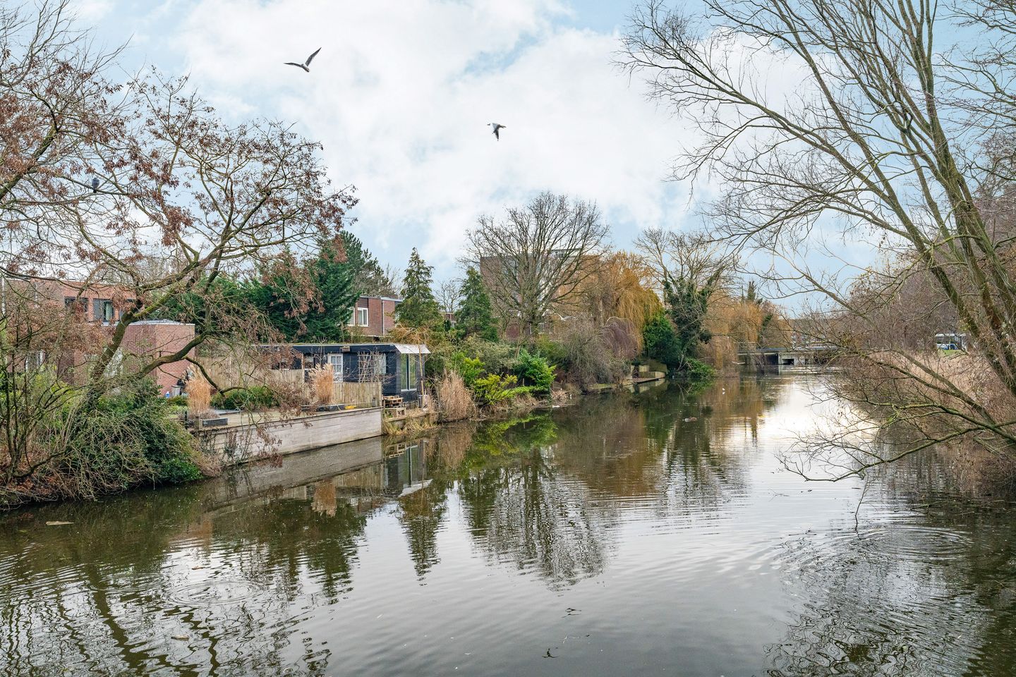 Foto 25 van Jisperveldstraat 467