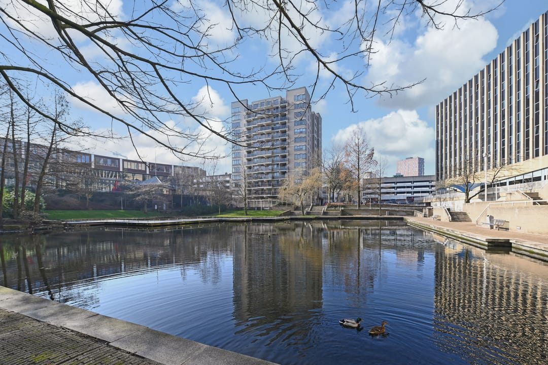 Foto 41 van Noordwaarts 166