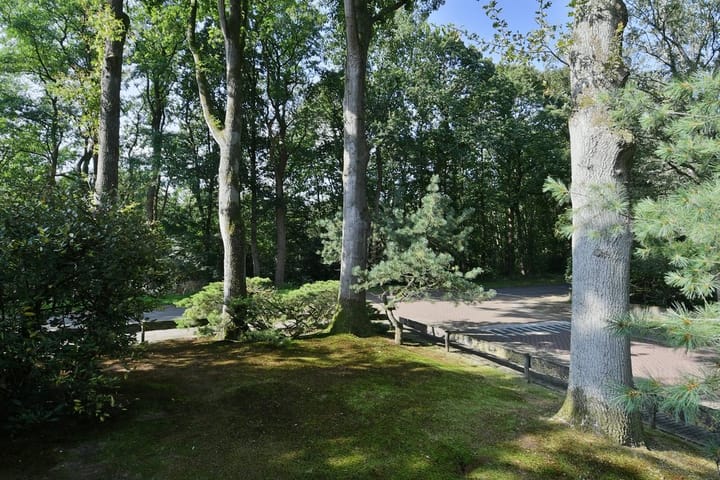 Foto 3 van Boslaan 7