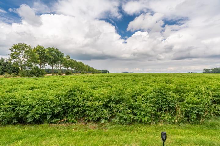 Foto 25 van Lageweg 98